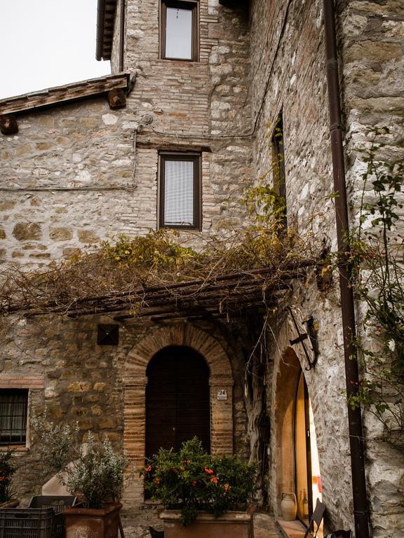 Гостевой дом Torre Valbiancara Montebagnolo Экстерьер фото